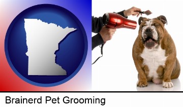 a dog being groomed with a comb and a hair dryer in Brainerd, MN