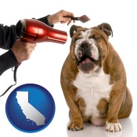 california map icon and a dog being groomed with a comb and a hair dryer
