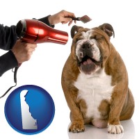 delaware map icon and a dog being groomed with a comb and a hair dryer