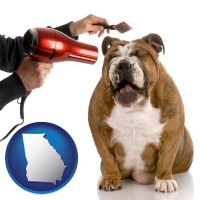 georgia map icon and a dog being groomed with a comb and a hair dryer