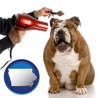 iowa map icon and a dog being groomed with a comb and a hair dryer