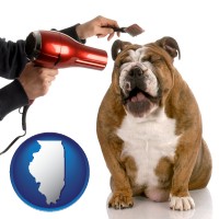 illinois map icon and a dog being groomed with a comb and a hair dryer
