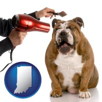 indiana map icon and a dog being groomed with a comb and a hair dryer