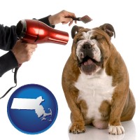 massachusetts map icon and a dog being groomed with a comb and a hair dryer