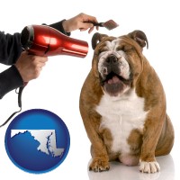 maryland map icon and a dog being groomed with a comb and a hair dryer