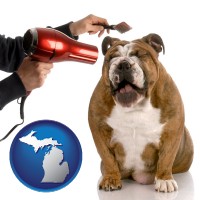michigan map icon and a dog being groomed with a comb and a hair dryer