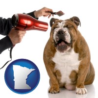 a dog being groomed with a comb and a hair dryer - with MN icon