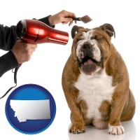 montana map icon and a dog being groomed with a comb and a hair dryer