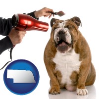 nebraska map icon and a dog being groomed with a comb and a hair dryer