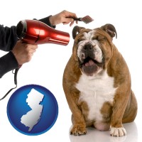new-jersey a dog being groomed with a comb and a hair dryer