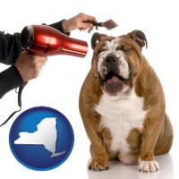 new-york map icon and a dog being groomed with a comb and a hair dryer