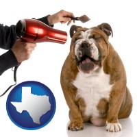 texas map icon and a dog being groomed with a comb and a hair dryer
