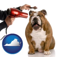 virginia map icon and a dog being groomed with a comb and a hair dryer