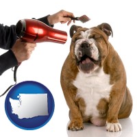washington map icon and a dog being groomed with a comb and a hair dryer