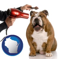 wisconsin a dog being groomed with a comb and a hair dryer