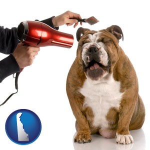 a dog being groomed with a comb and a hair dryer - with Delaware icon
