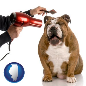 a dog being groomed with a comb and a hair dryer - with Illinois icon