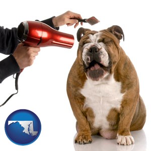a dog being groomed with a comb and a hair dryer - with Maryland icon