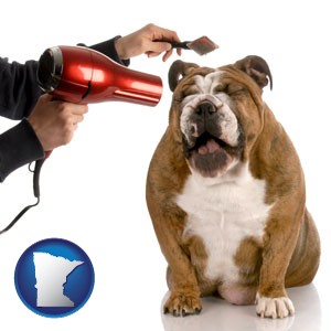 a dog being groomed with a comb and a hair dryer - with Minnesota icon
