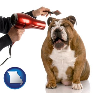 a dog being groomed with a comb and a hair dryer - with Missouri icon