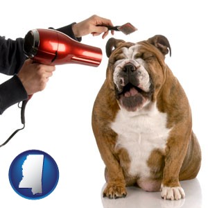 a dog being groomed with a comb and a hair dryer - with Mississippi icon