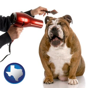 a dog being groomed with a comb and a hair dryer - with Texas icon