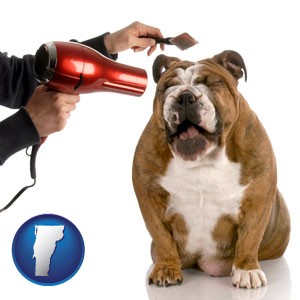 a dog being groomed with a comb and a hair dryer - with Vermont icon
